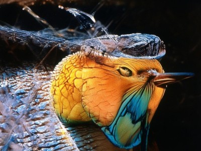 heard in韶关音频科技