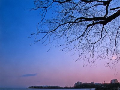 武汉京伦科技开发有限公司，创新引领未来，成就卓越