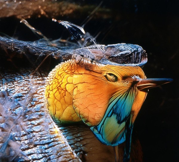 heard in韶关音频科技